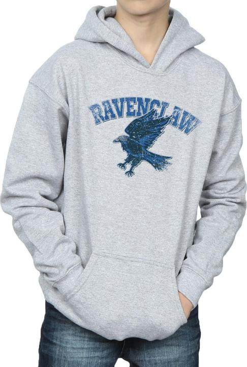 Image du produit - Sweat à capuche - Garçon (140, 146)