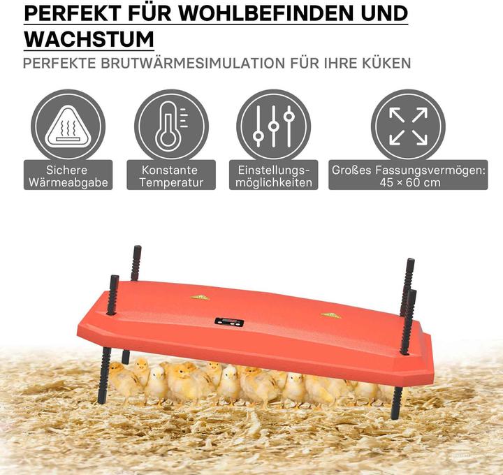 Actual product image Fudajo 45x60cm Chick Breeding Heating Plate 60W Warming Plate w/ Thermostat for 50-55 Chicks (60 W)