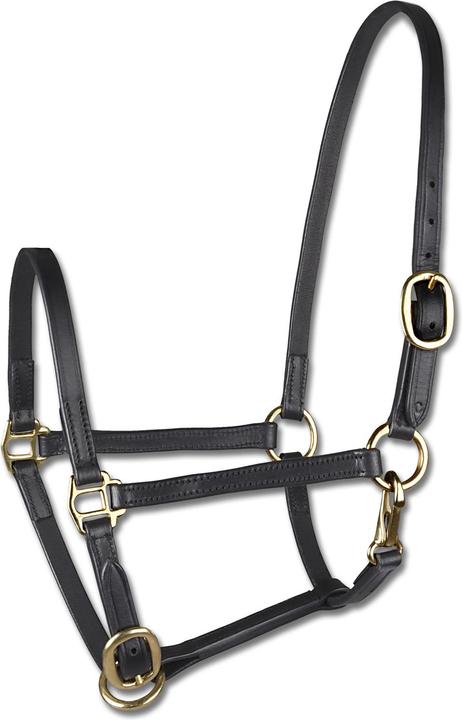 Image du produit Star Licol de présentation pour poney en cuir