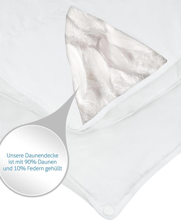 Produktbild Aspero Winter Daunendecke 2-teilig (1070 g, 155 x 220 cm)