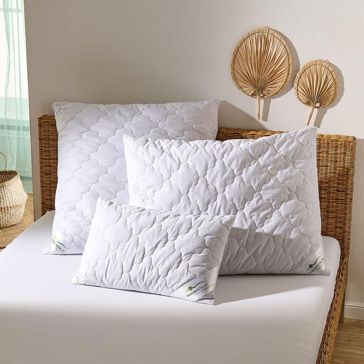 Produktbild Traumschlaf Kamelhaar Nature (70 x 90 cm)