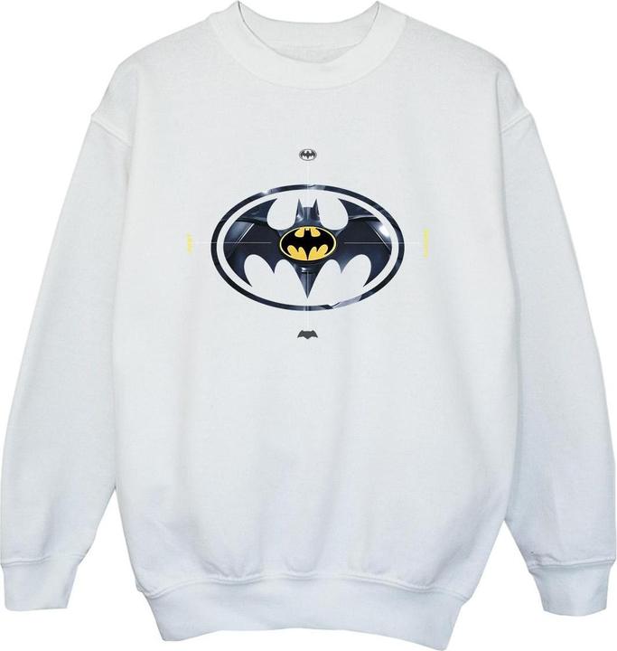 Produktbild The Flash Batman Metal Logo Sweatshirt Jungen (104)