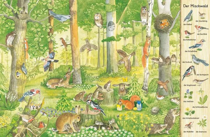 Immagine prodotto Mein erstes Wimmelbuch Im Wald (Tedesco, Christine Henkel, 2010)