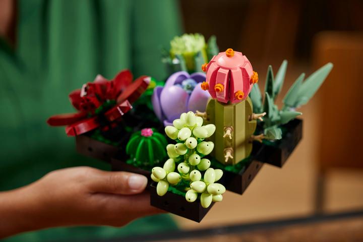 Image du produit LEGO Les succulentes (10309, LEGO Botanical, LEGO difficiles à trouver)