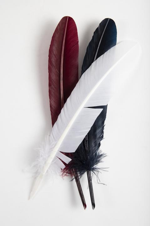 Immagine prodotto Jacques Herbin Penna d'oca (Bianco, Blu, Rosso, 1x)