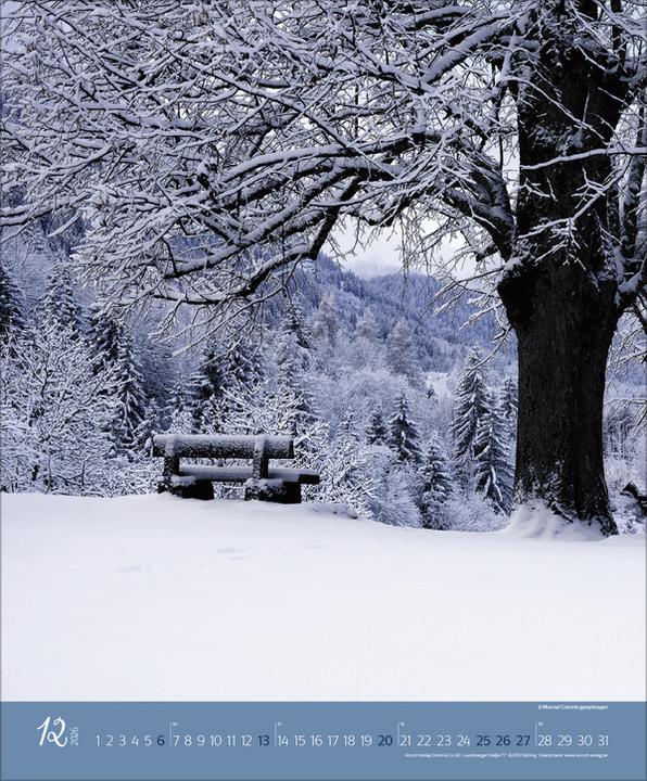 Produktbild AugenblickeimWald2026 (Spezial)