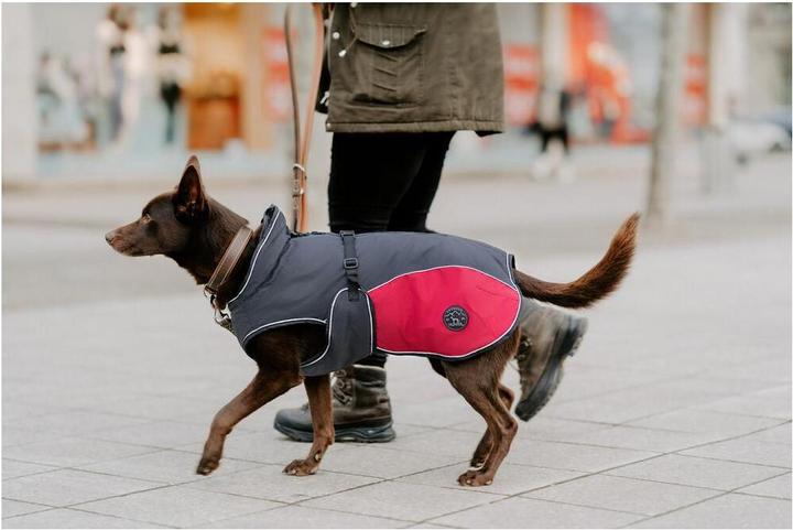 Actual product image Hunter Dog coat Uppsala Allrounder (45, Dog coat)