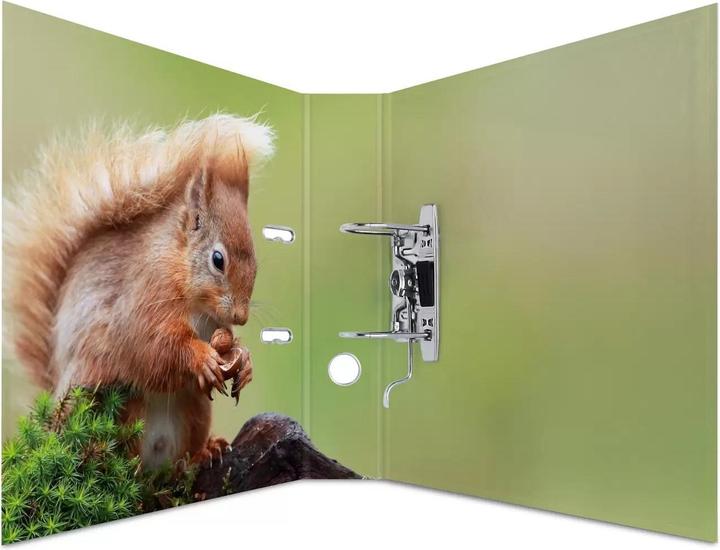 Actual product image HERMA A4 folder motif (A4, 70 mm, 1 Piece)