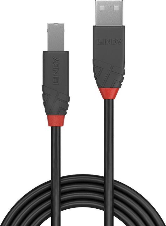 Actual product image Lindy USB A — USB B (1 m, USB 2.0)