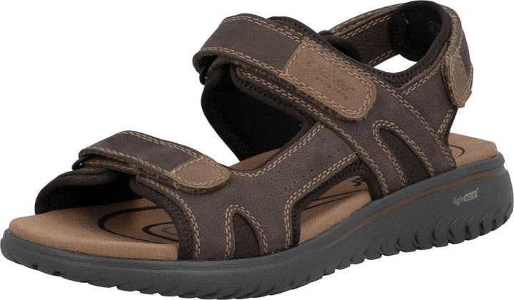 Brun foncé, Moro Marron Amande