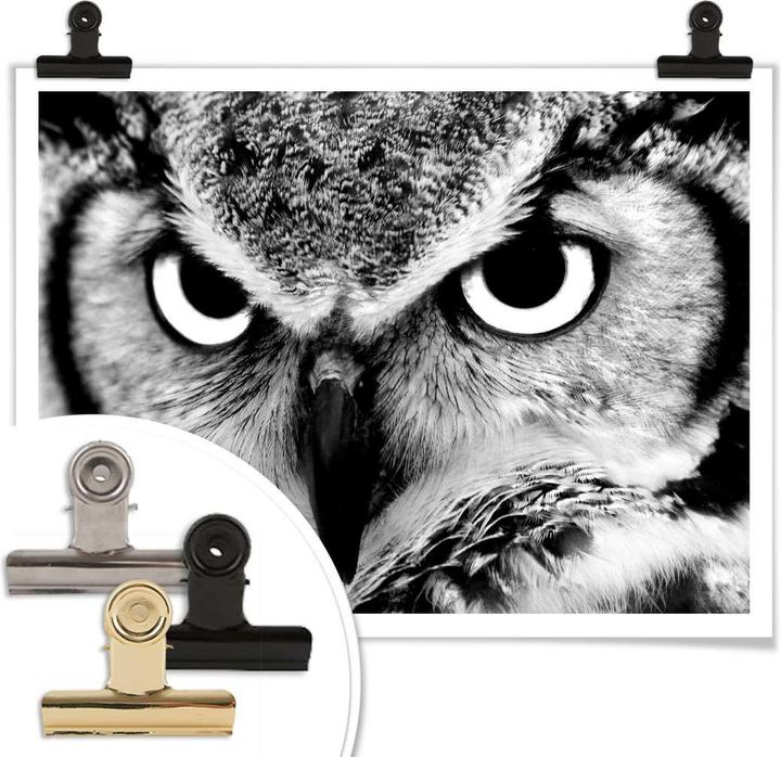 Produktbild Trenddeko Stolze Eule (40 x 30 cm)