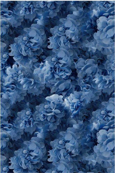 Produktbild Moooi Hortensia Teppich (300 x 400 cm)