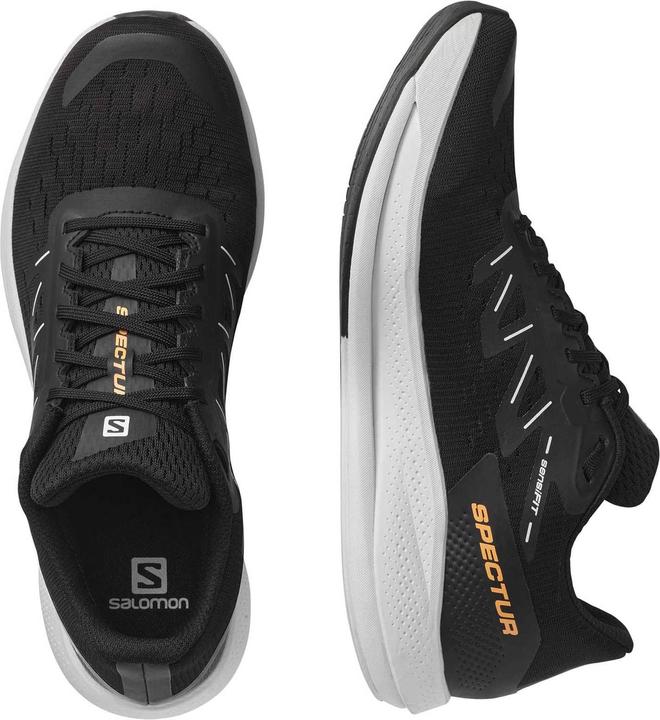 Produktbild Salomon Spectur (46)