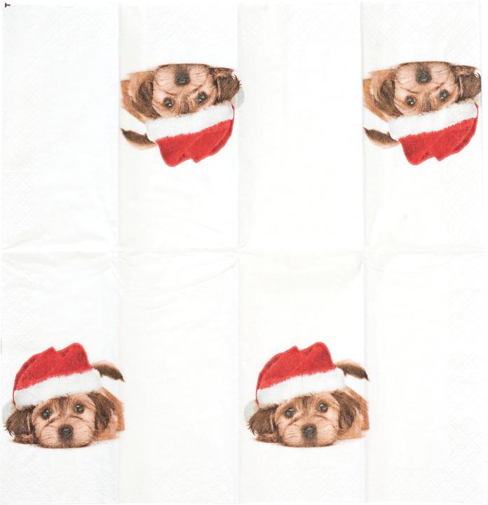 Actual product image Paper + Design Papertaschentücher "Sweet Santa Dog"