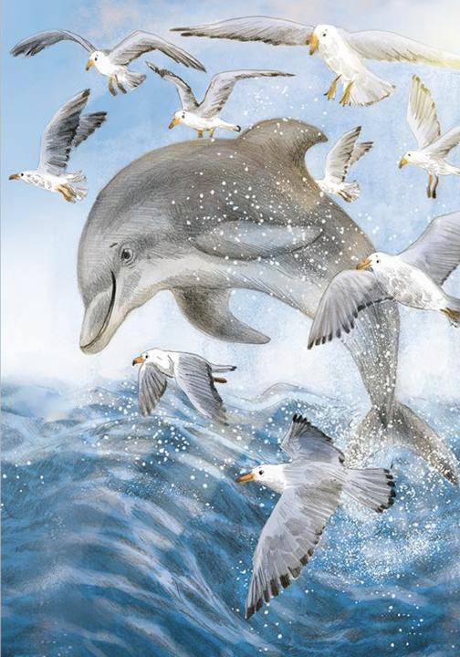 Actual product image Wonderful world of animals in the sea - read by Jakob Graf (Chae Strathie, German)