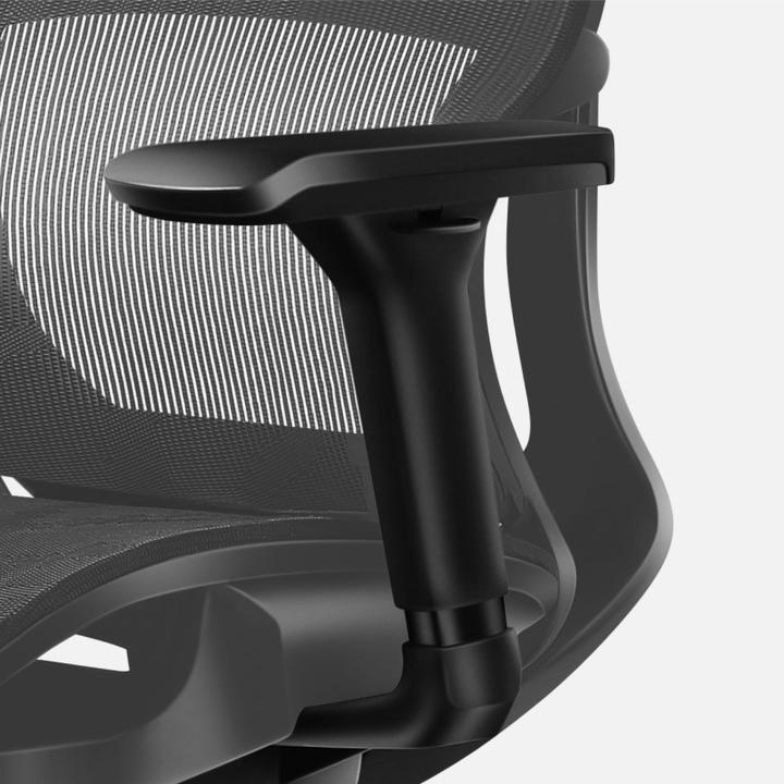 Produktbild Mark Adler Expert (40 - 48 cm)