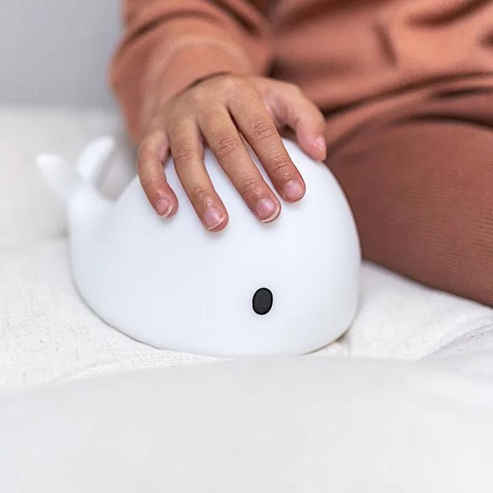 Image du produit Flow Amsterdam LED Moby