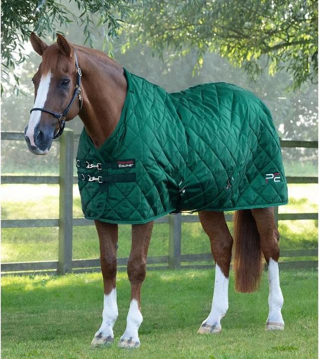 Produktbild Premier Equine Tuscan 200 g (160 cm)