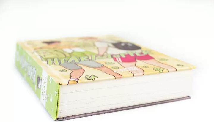 Actual product image Heartstopper Volume 3 (deutsche Hardcover-Ausgabe) (German, Alice Oseman, Vanessa Walder, 2022)