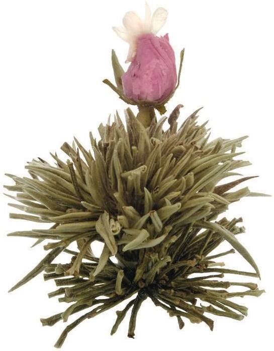 Image du produit Creano Erblühtee (0.50 l)