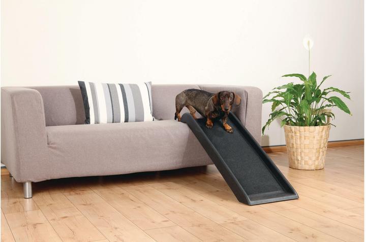 Image du produit Trixie Glasny (Chien)
