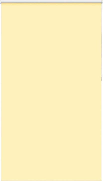 Produktbild vidaXL Verdunkelungsrollo (120 x 230 cm)