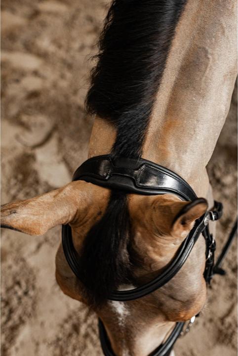 Image du produit HFI Master Pro Line Verona