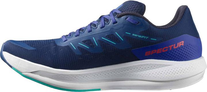 Actual product image Salomon Spectur (43 1/3)