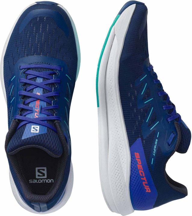 Actual product image Salomon Spectur (43 1/3)