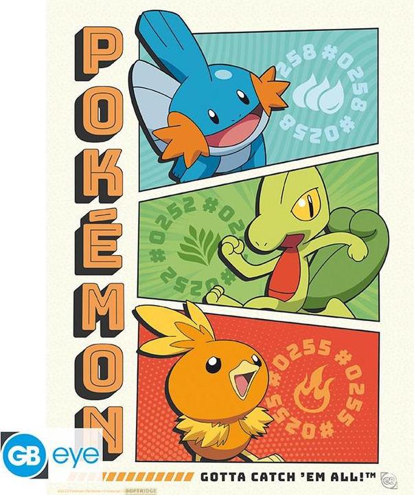 Actual product image Abysse POKEMON - Portfolio 9 posters Starters
