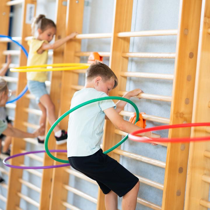 Image du produit Spordas Porte-pneus pour espaliers WalliBari