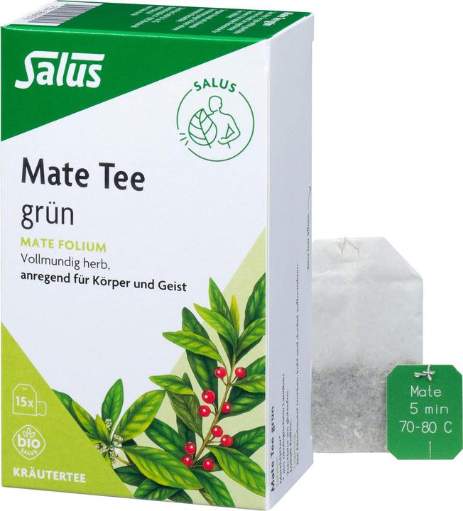 Image du produit Salus Thé maté vert, 15 pcs. Sachets filtres (34.50 g)