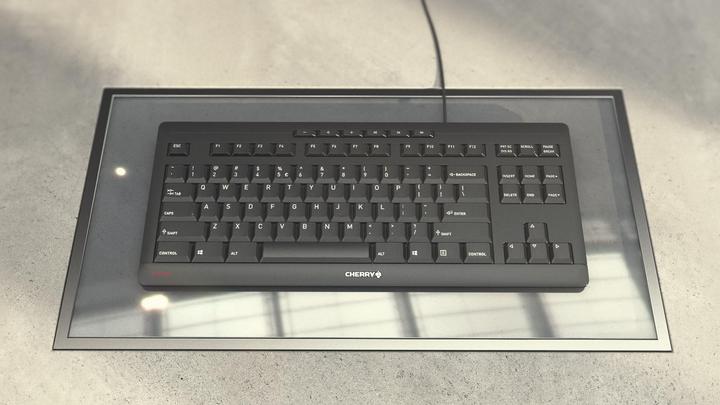 Actual product image CHERRY TAS STREAM KEYBOARD TKL Corded DE-Layout gray (DE, Cable)
