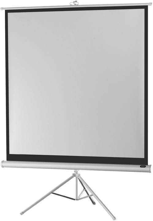 Actual product image Celexon Economy tripod screen - Projection screen with tripod - 310 cm (122") (121.65", 1:1)
