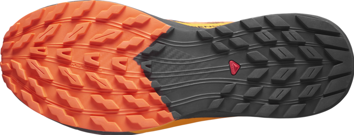 Produktbild Salomon Sense Ride 5 GTX Herren Trailrunningschuhe (44)