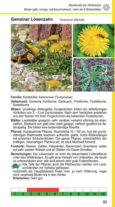 Produktbild Landschildkröten-Futterpflanzen (Deutsch, Ricarda Schramm, 2017)