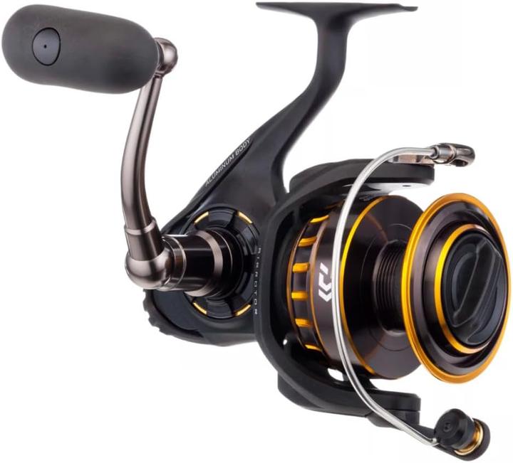 Image du produit Daiwa Moulinet de mer BG 4500 (4500)