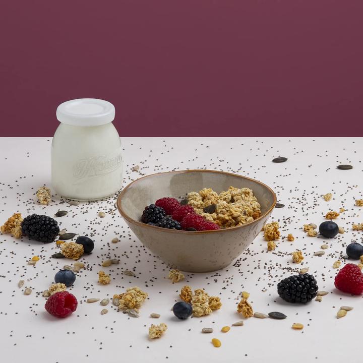 Produktbild H.Koenig ELY 120 Joghurtbereiter