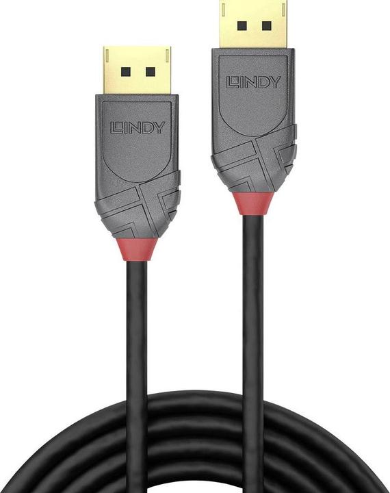 Productafbeelding Lindy DisplayPort - DisplayPort (2 m, DisplayPort)