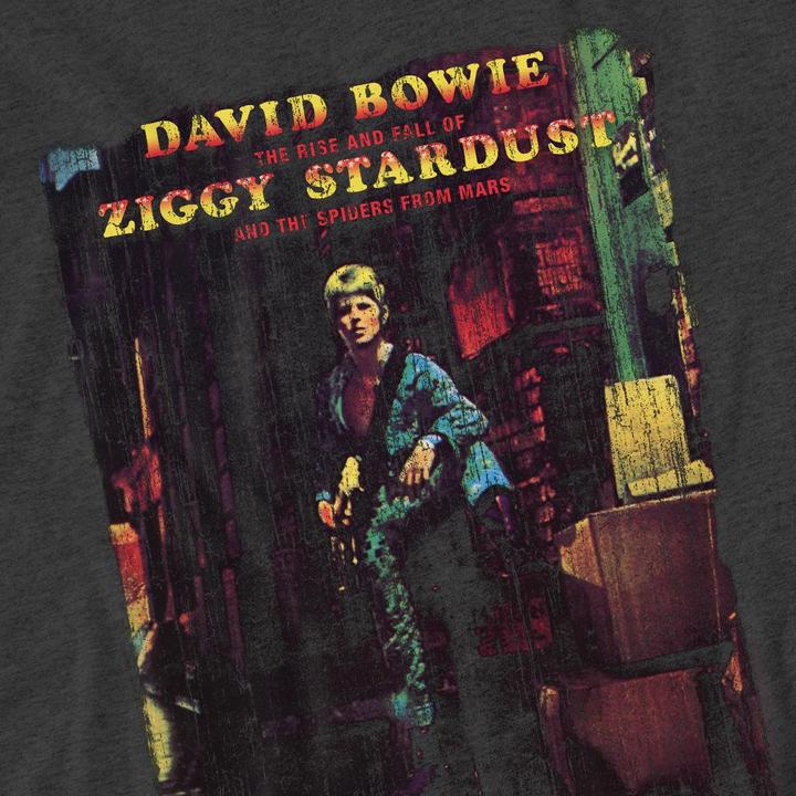 Produktbild David Bowie Ziggy Stardust Album TShirt (XXL)