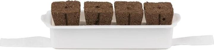 Véritable Seedling Kit