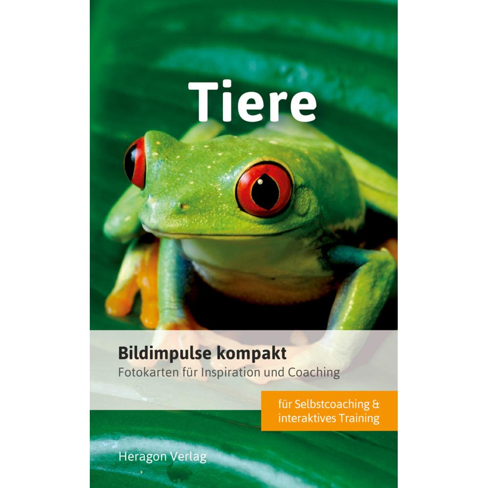 Bildimpulse kompakt: Tiere, Ratgeber