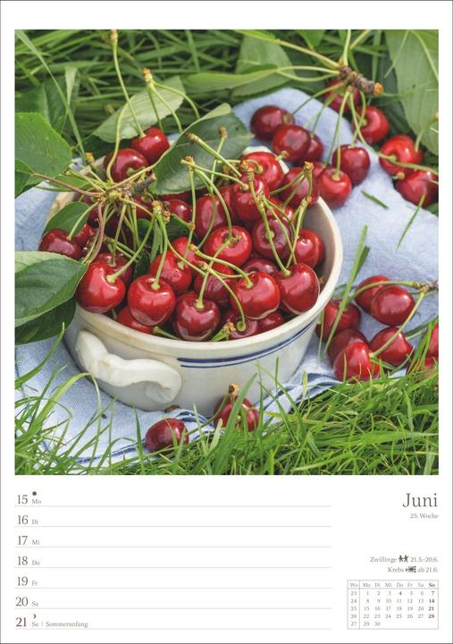 Actual product image Harenberg Landleben Wochenplaner 2026 - 53 Blatt mit Weisheit der Woche auf der Rückseite