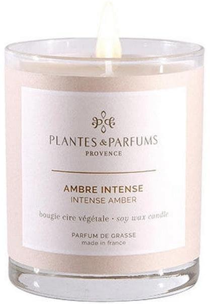 Plantes & Parfums de Provence Intense Amber scented candle 180 g (180 g)