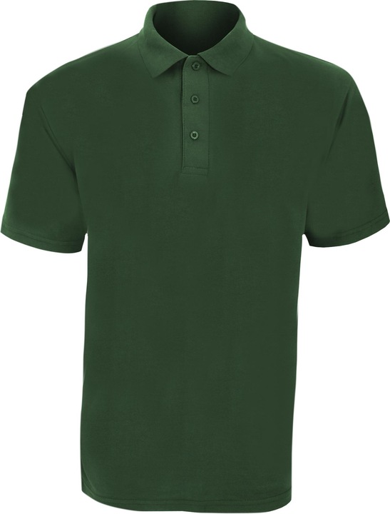 vert bouteille
