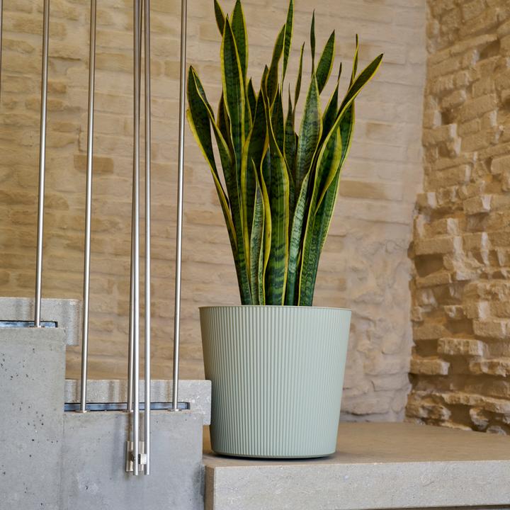 Produktbild Euro3plast Blumentopf Fyre Ø 40 cm oasi Greener, mit Rollen