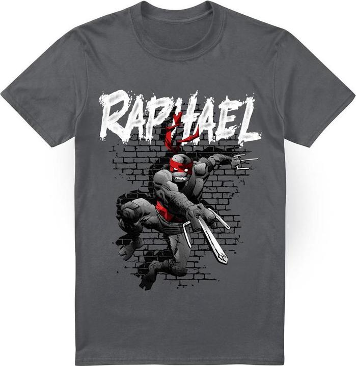 Produktbild Teenage Mutant NT TShirt (XXL)