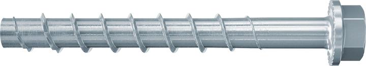 Actual product image Fischer 558227 (10 Screws per piece)
