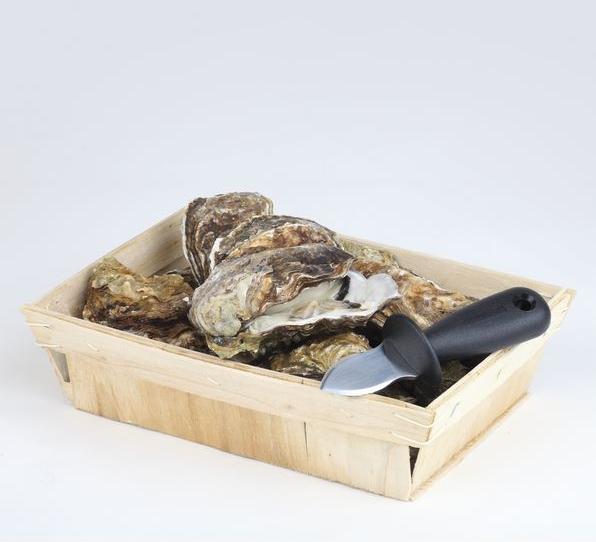Actual product image APS TOOLTIME" oyster opener (Corkscrew)