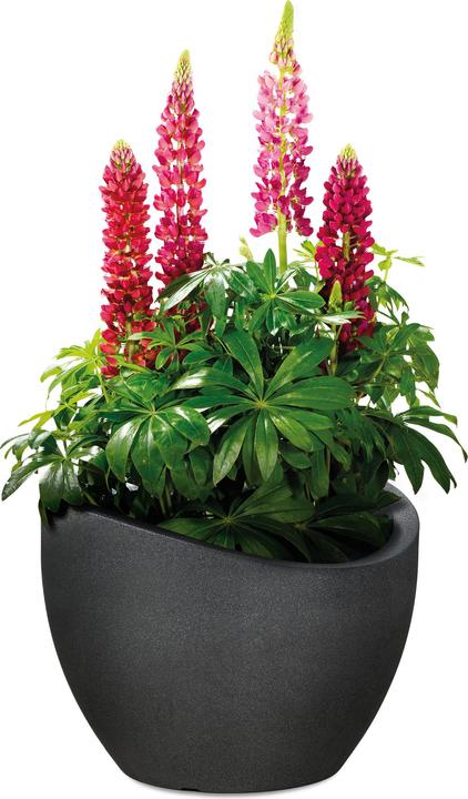 Produktbild Scheurich Wave Globe (39.50 cm)